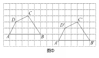 组合 19