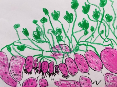 作品名称：《地底的番薯》作者：潘瑾瑜 6岁 指导教师：方倩颖