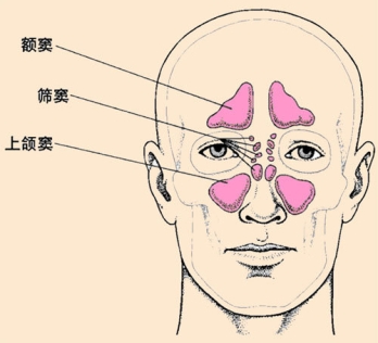 点击查看图片来源