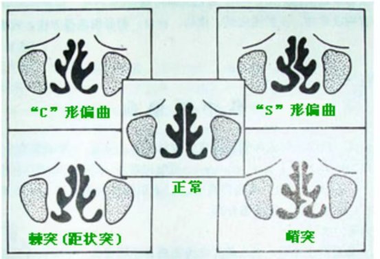 微信图片_20240218194506