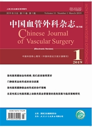 中国血管外科杂志（电子<b style='color:red'>版</b>）