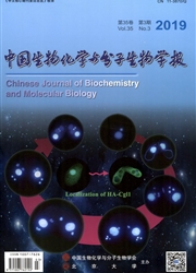 中国生物化学与<b style='color:red'>分子</b>生物学报