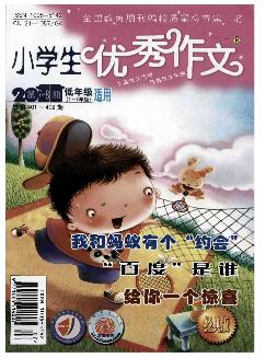 小学生优秀作文：低年级版