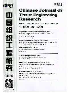 中国组织工程研究