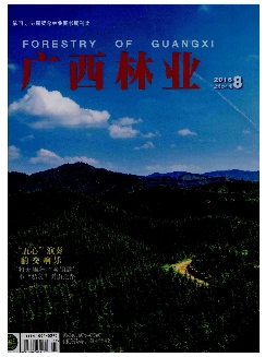 广西林业