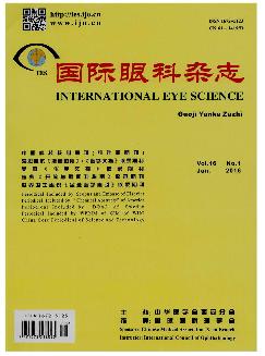 国际眼科杂志