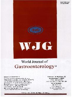 世界胃肠病学杂志：英文版
