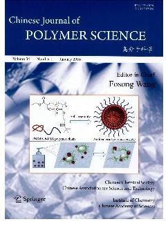 高分子科学：英文版