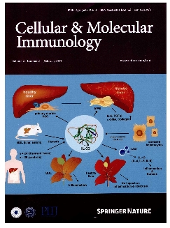 中国免疫学杂志：英文版