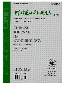 中华腔镜泌尿外科杂志（电子版）
